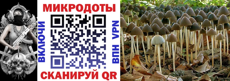 даркнет официальный сайт  mega tor  Эртиль  Галлюциногенные грибы Psilocybine cubensis 